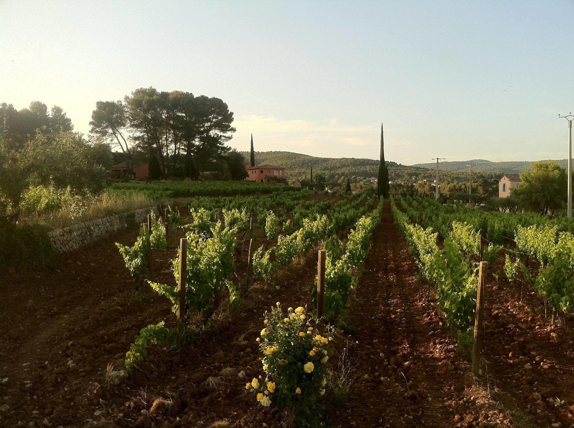 Domaine Rabiega 호텔 플레이오스크 외부 사진