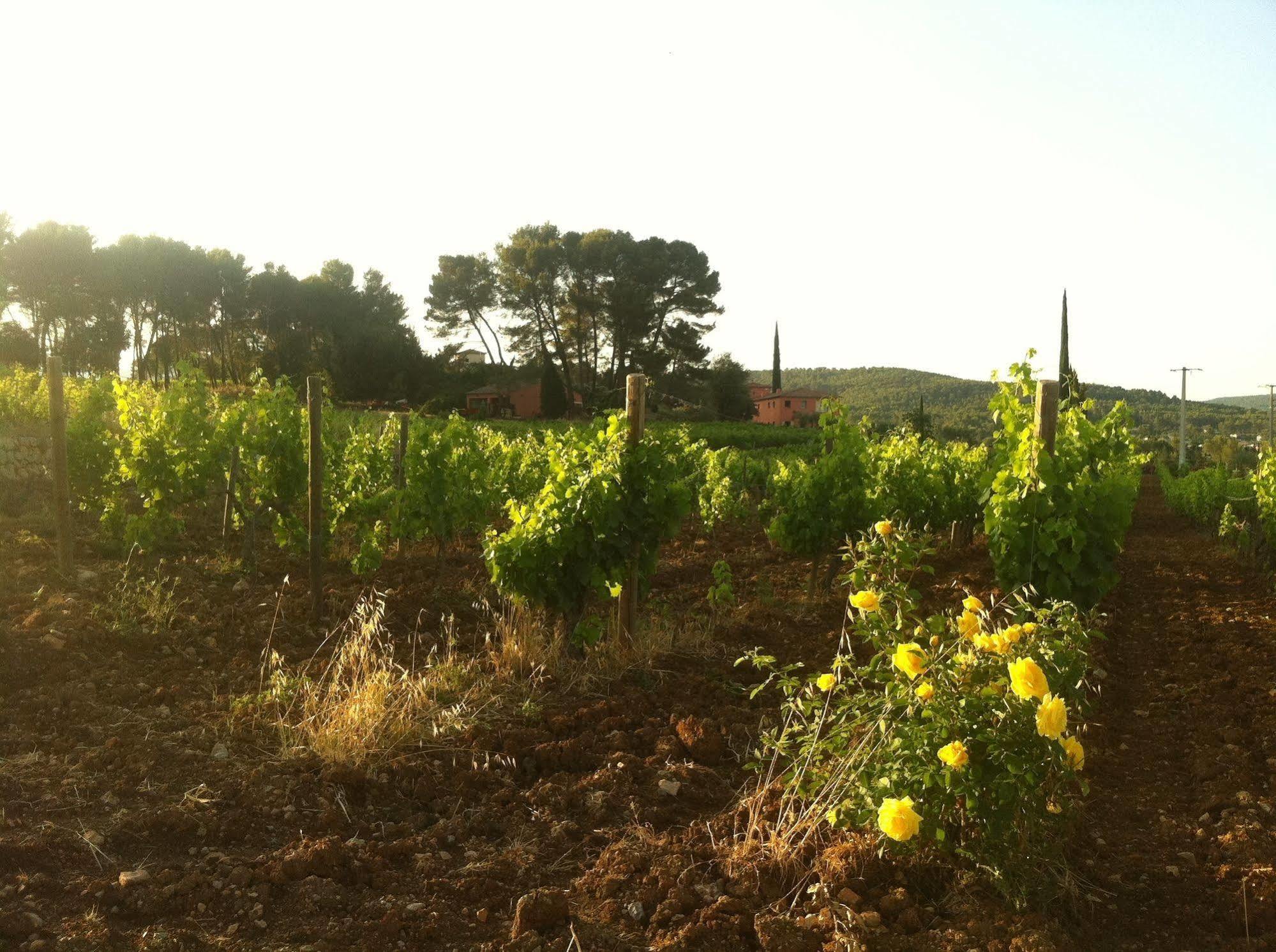Domaine Rabiega 호텔 플레이오스크 외부 사진